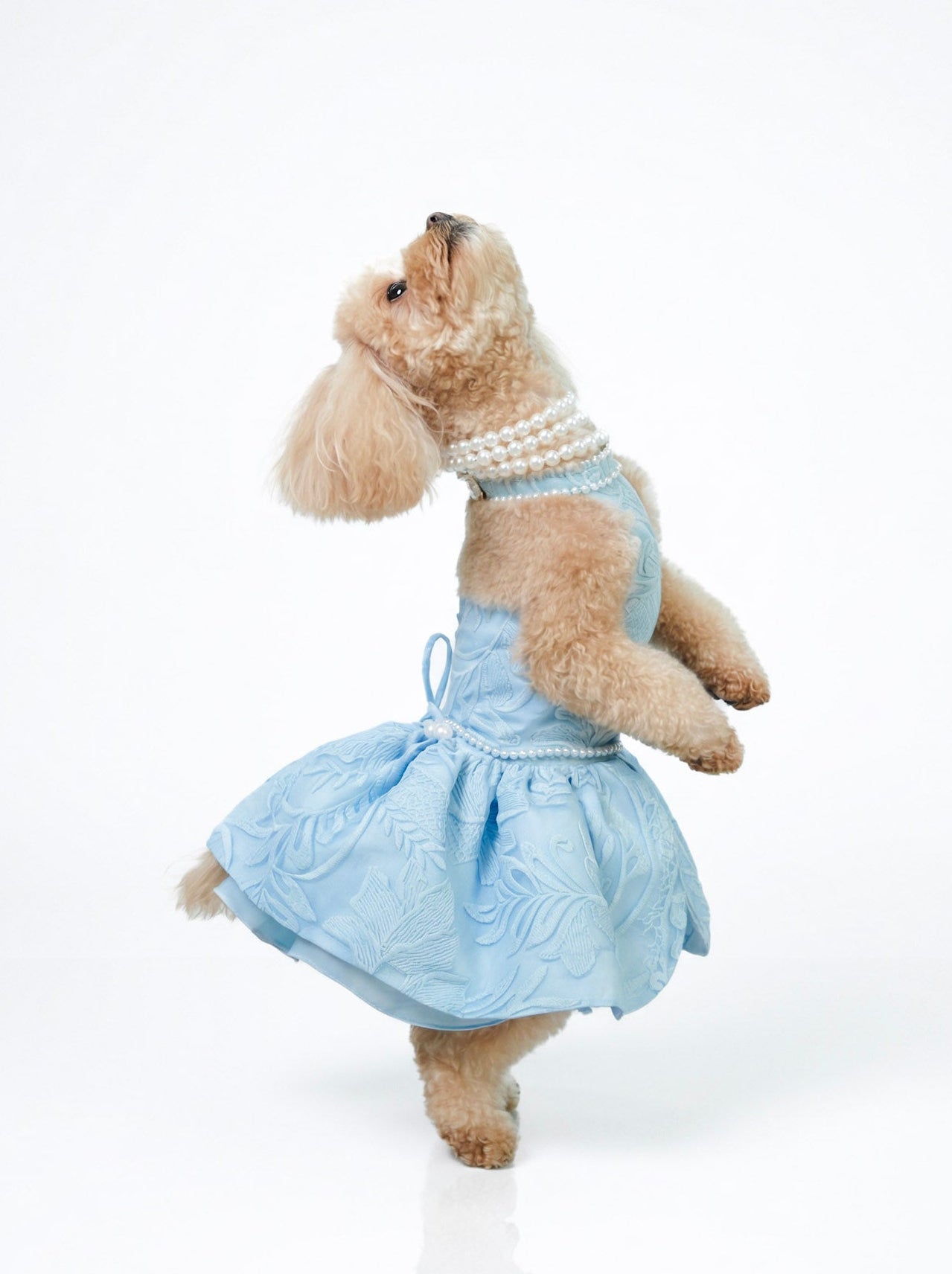Skye – Blue Dog Dress with Floral Pattern & Corset Back