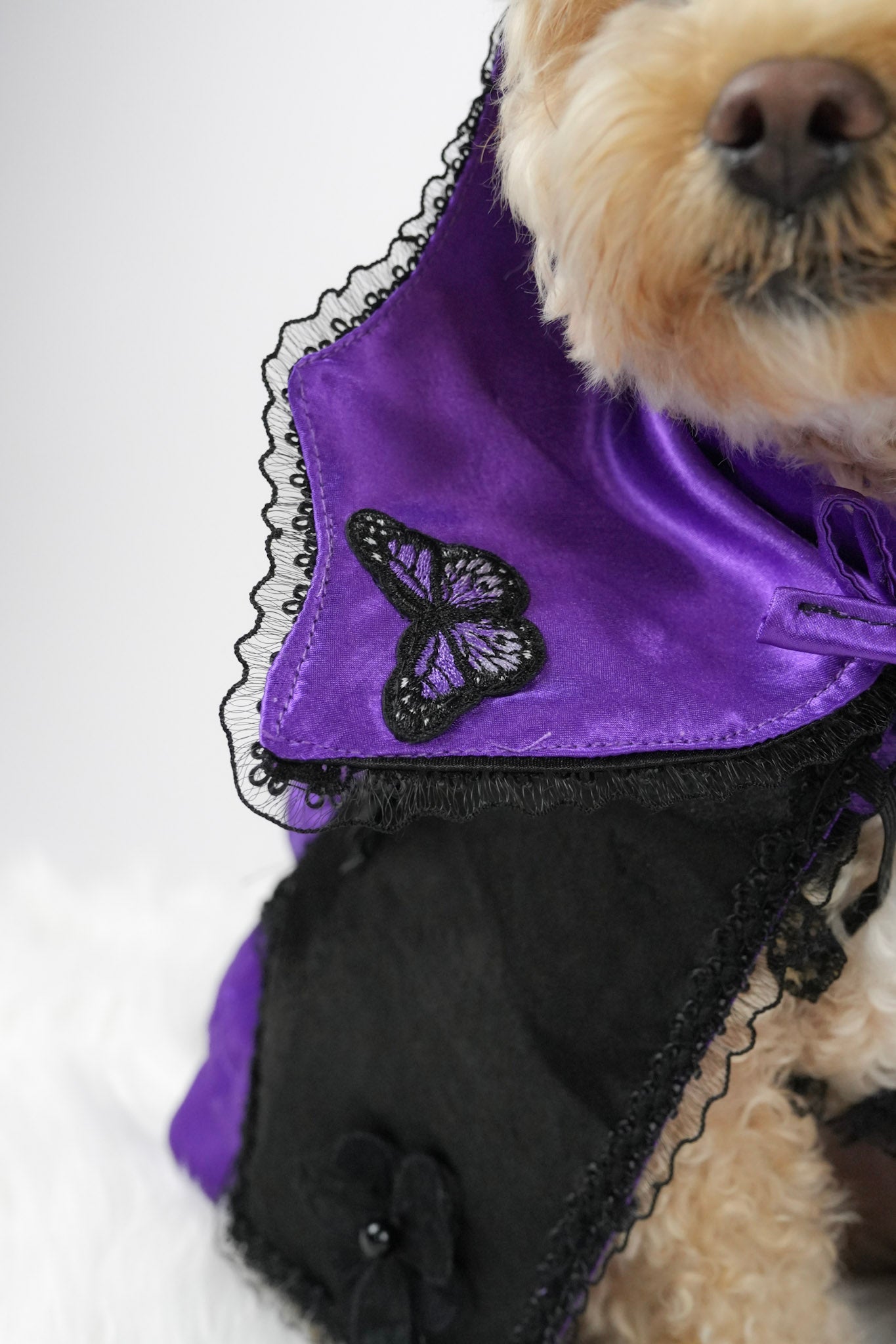 Halloween outfit details