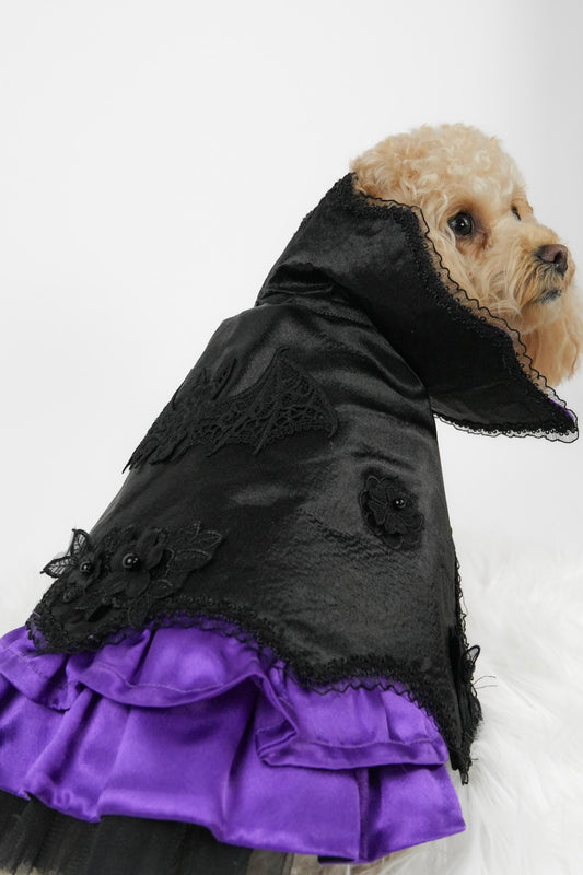 Halloween pet costume