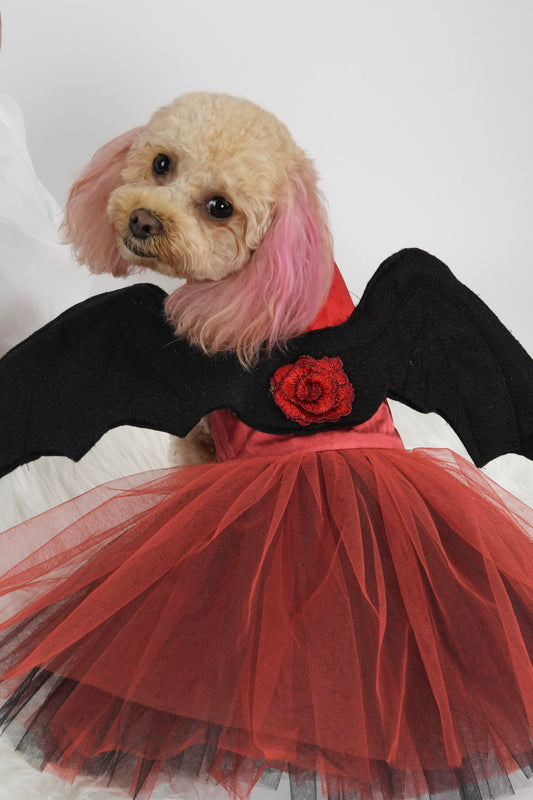 Halloween pet outfit