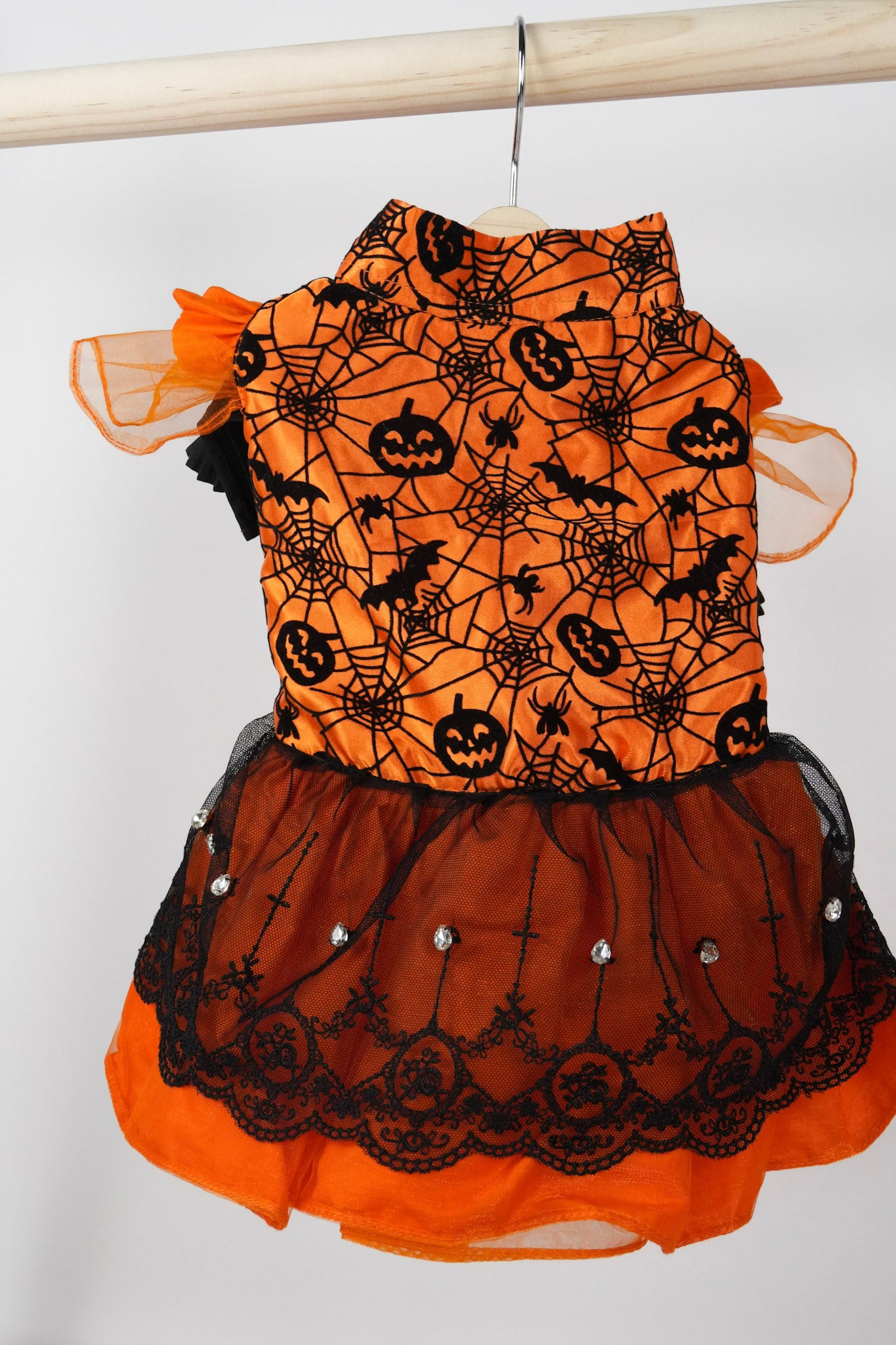halloween spooky chic pet