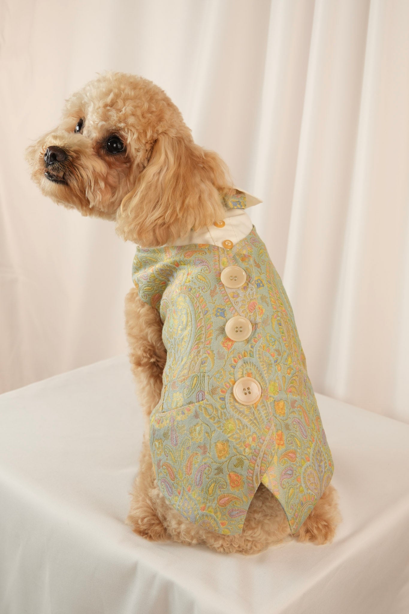 ivy bloom colorful pet vest