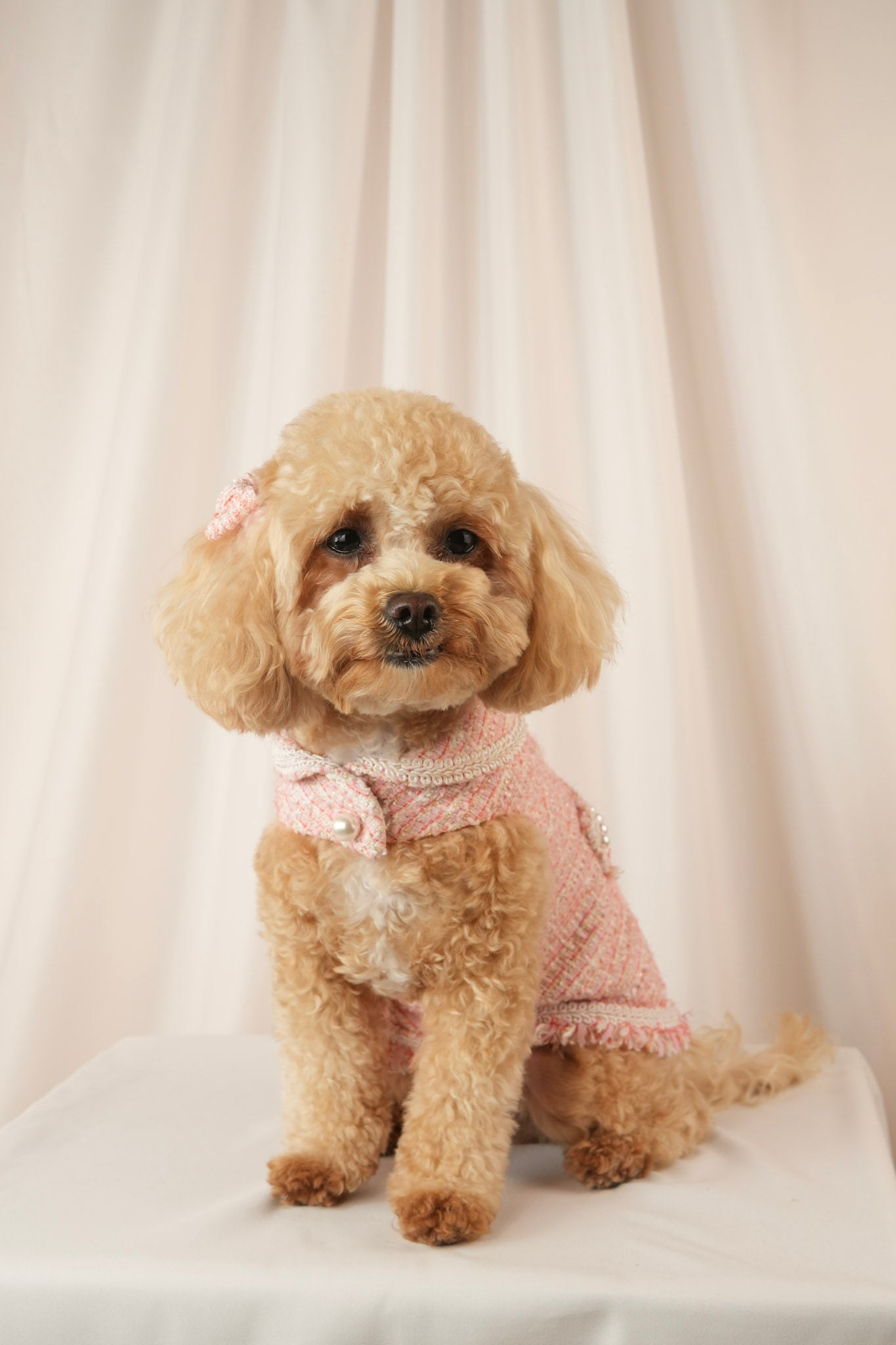 Mademoiselle Elegance pink pet dress for stylish outings
