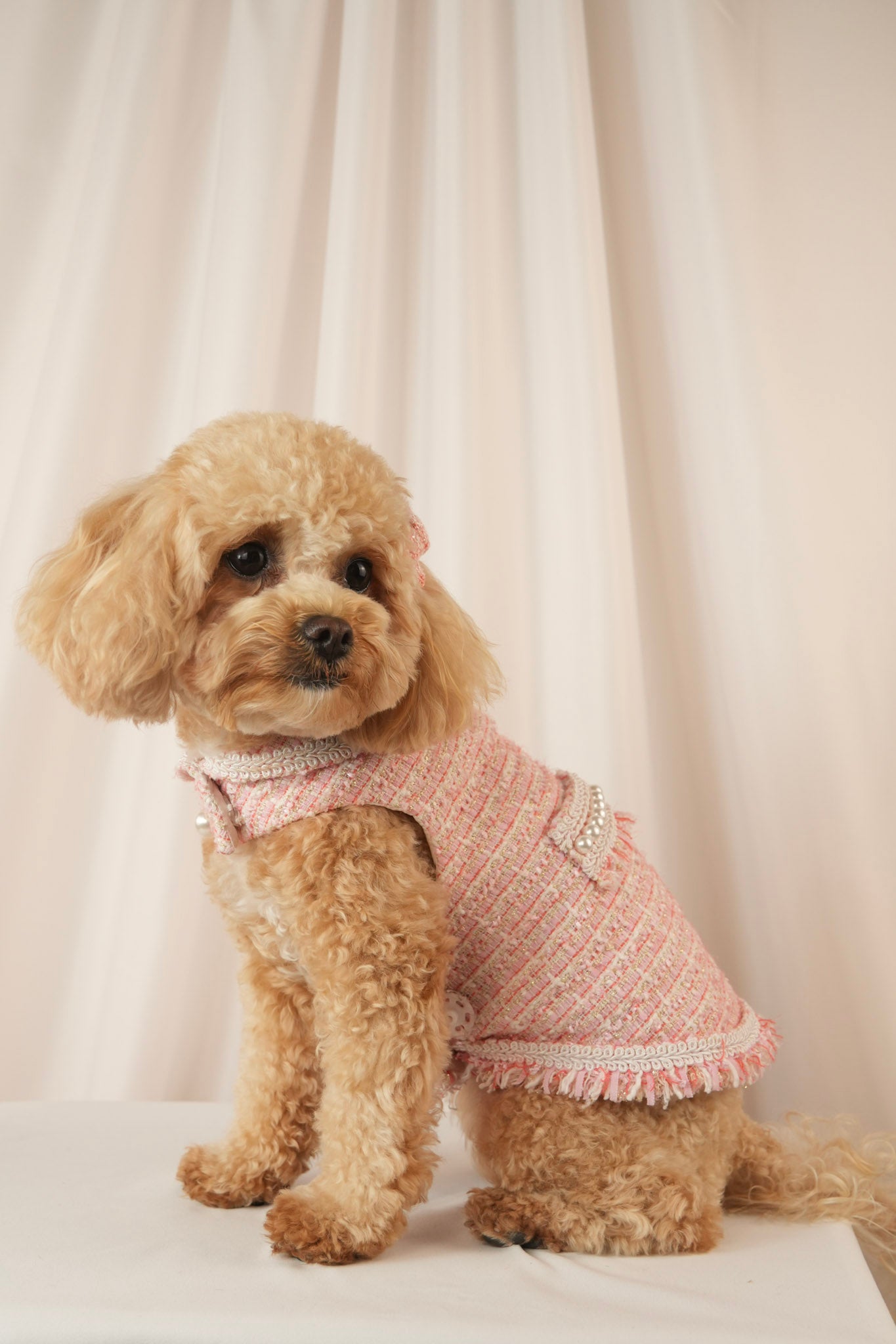 Mademoiselle Elegance pink pet dress for stylish outings