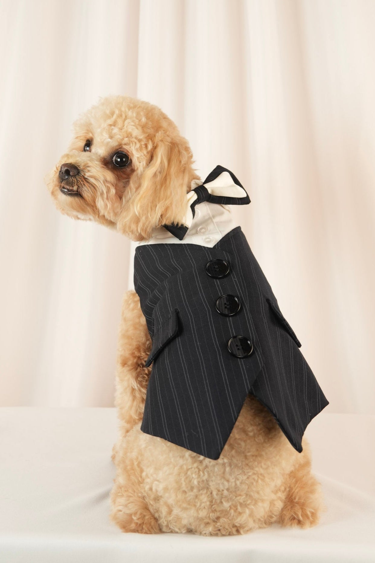 midnight marquis black tuxedo vest with bow