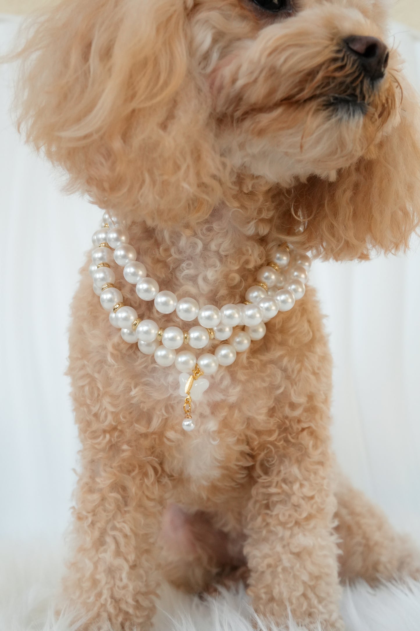 pearl pet necklace with butterfly detail