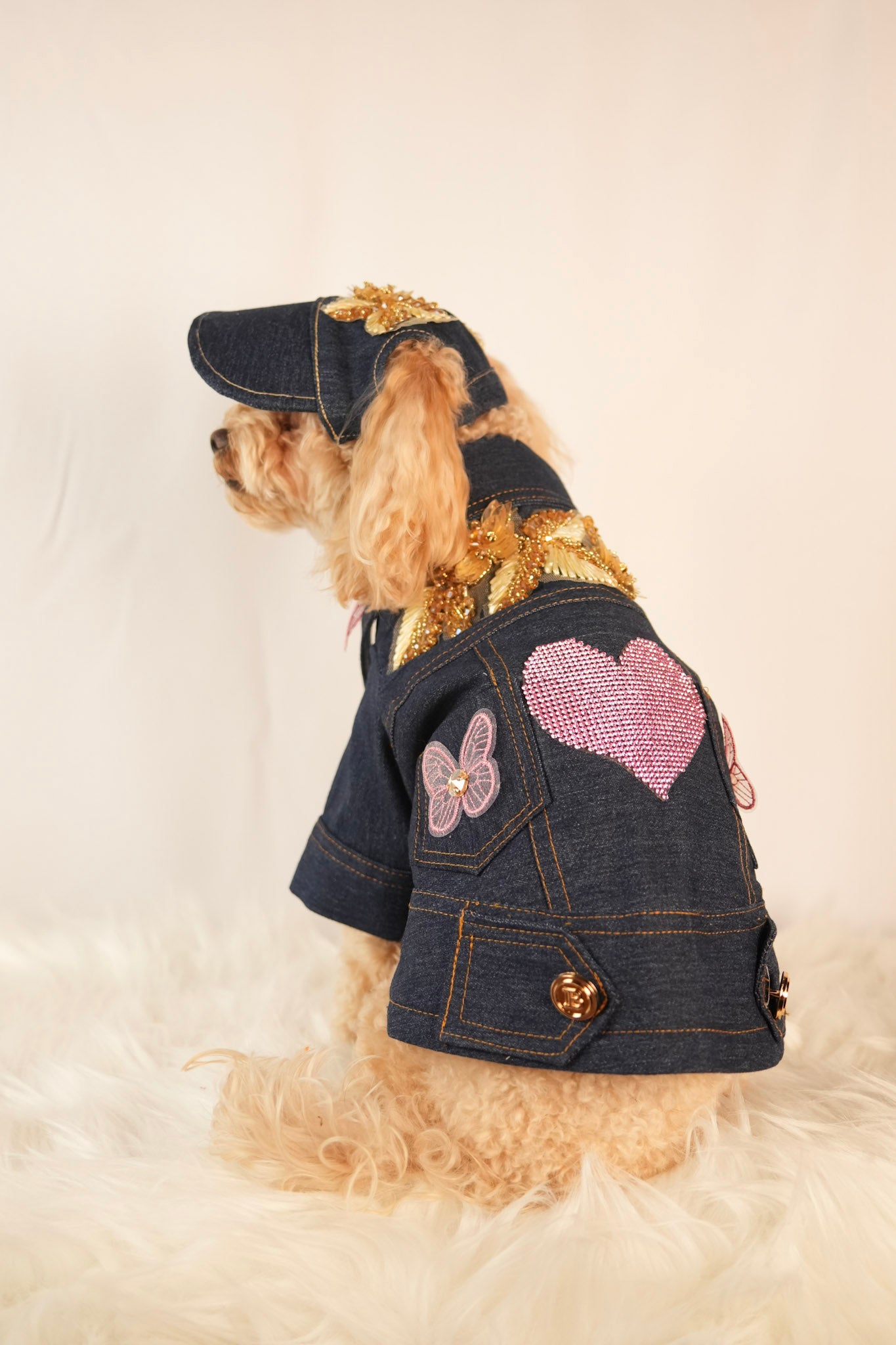 denim pet jacket with fun embroidered icons and matching cap