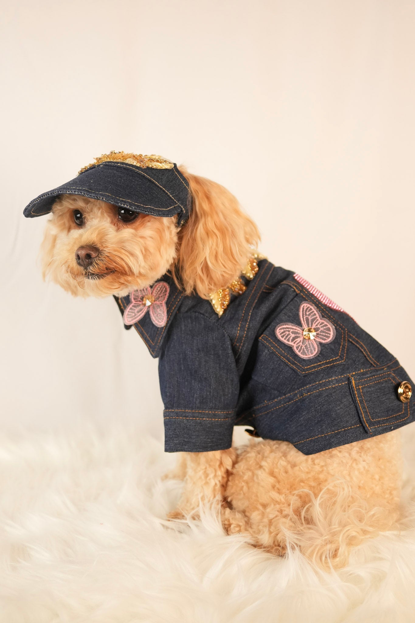 denim pet jacket with fun embroidered icons and matching cap