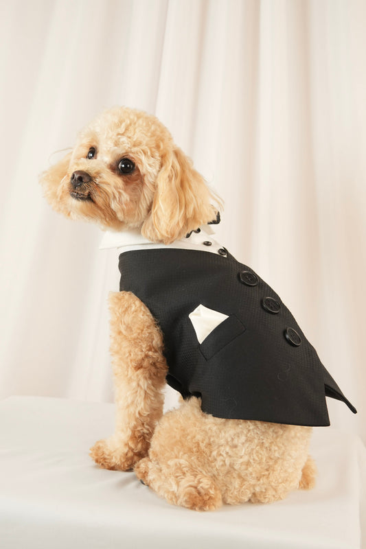 Elegant black pet vest with white collar and bow