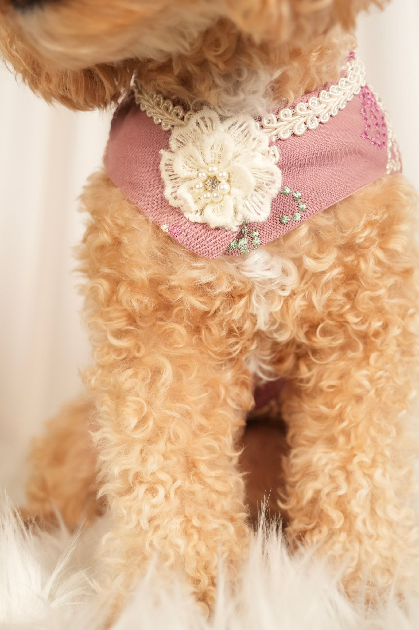 purple pet dress with floral patterns