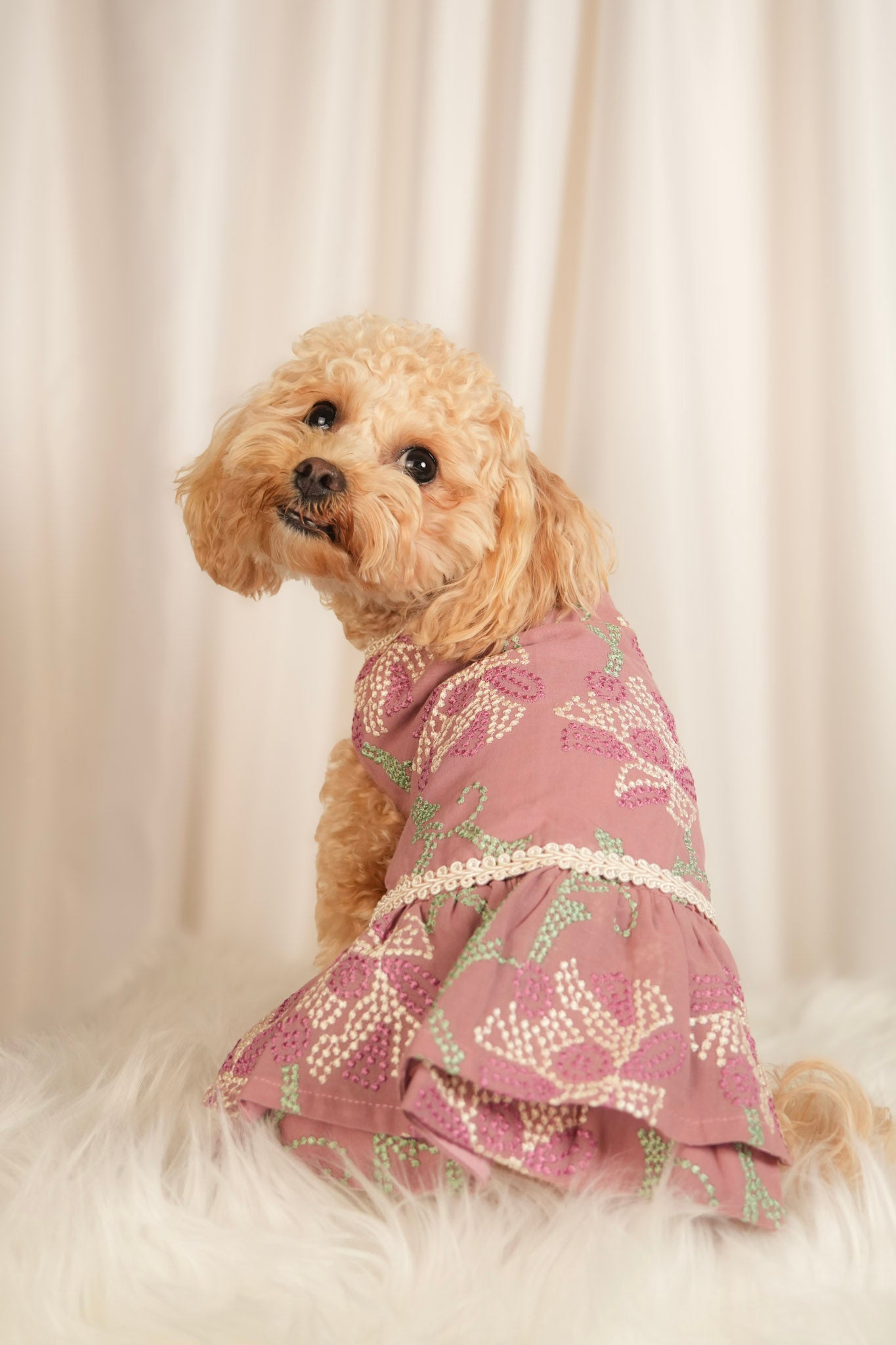 purple pet dress with floral patterns