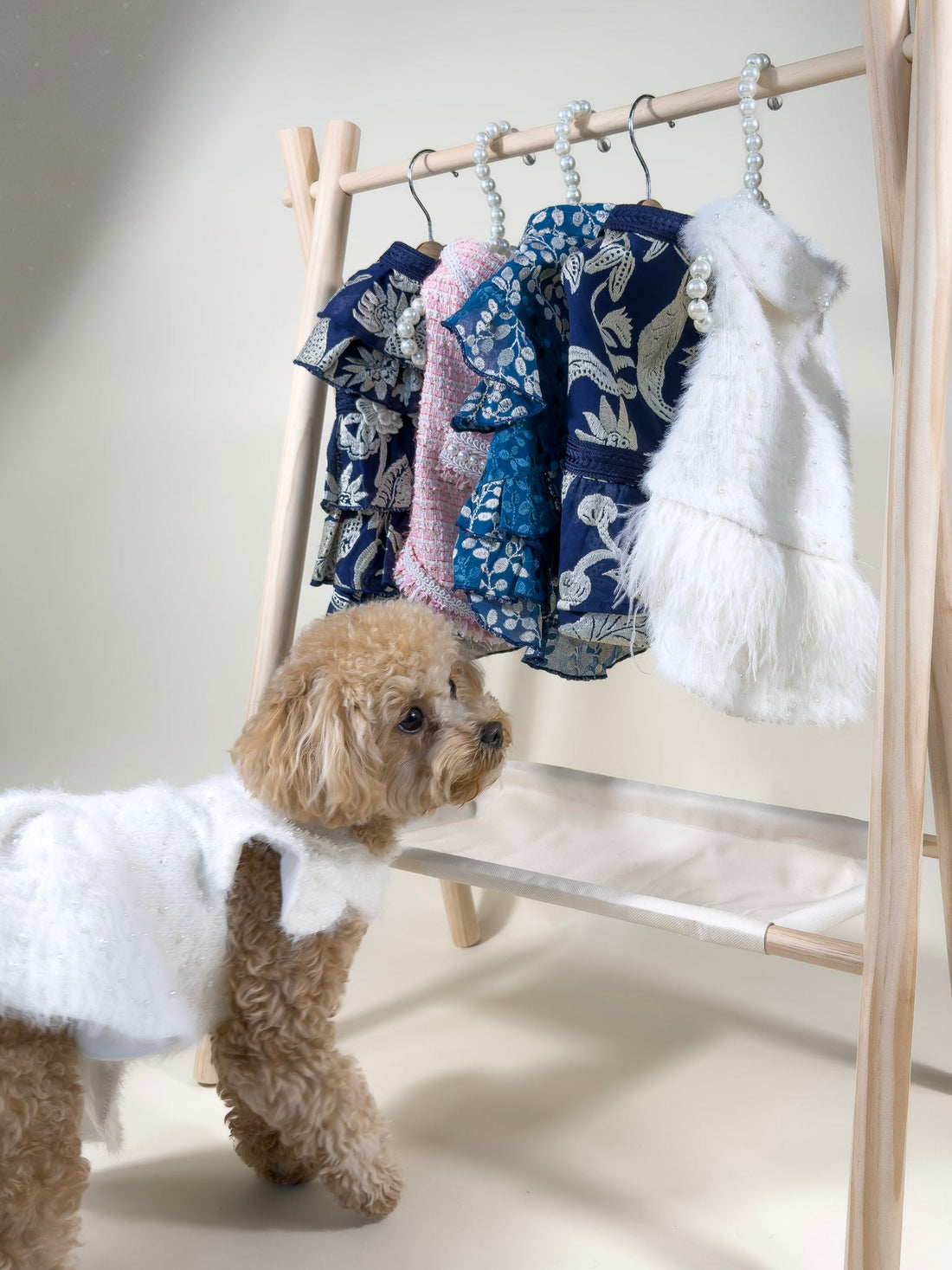 How to Introduce Your Pet to Wearing Clothes: A Step-by-Step Guide