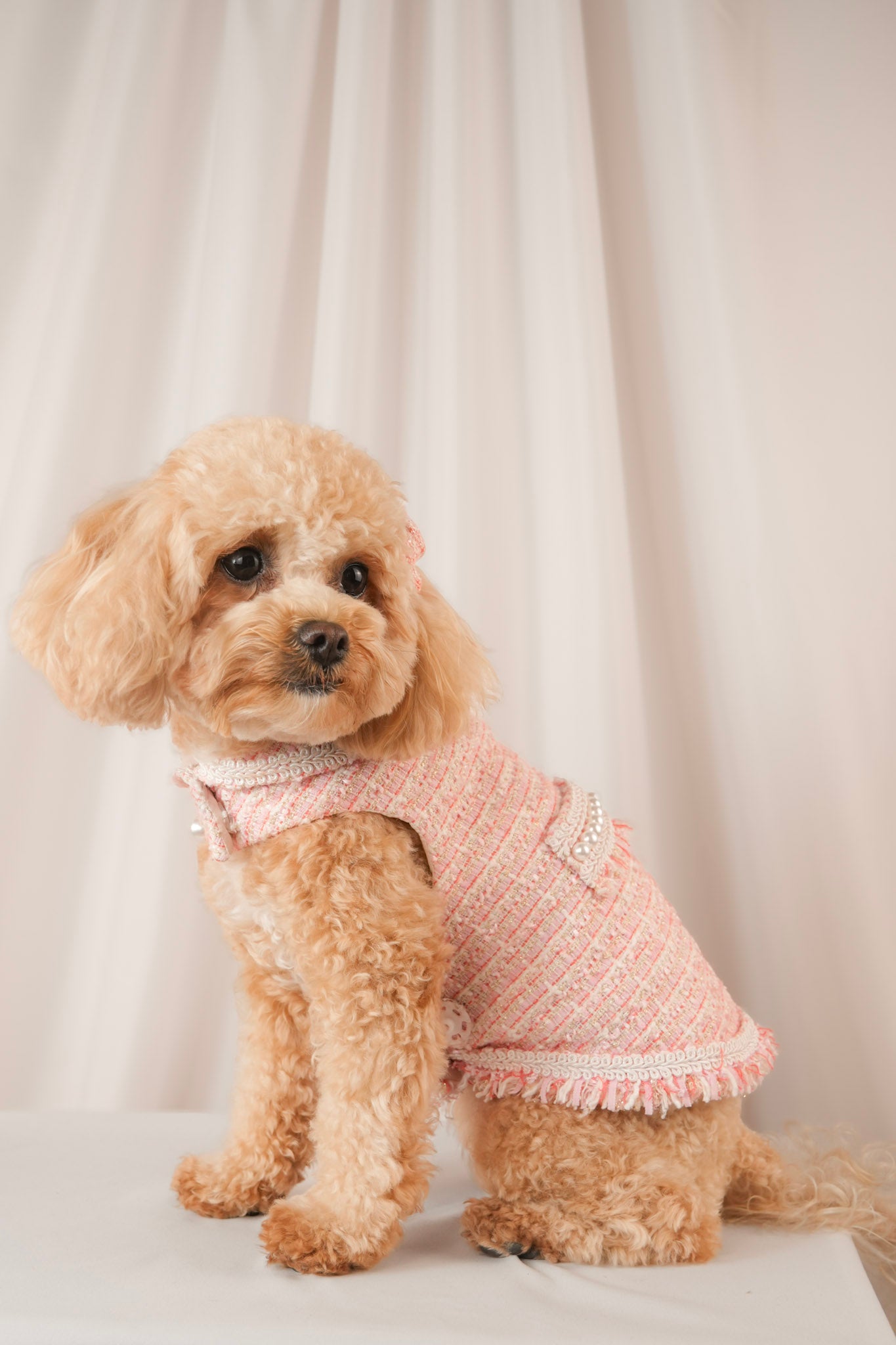 Mademoiselle Elegance