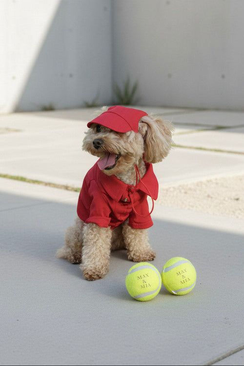 Red active pet wear set