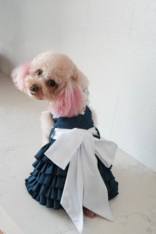 Denim Darling