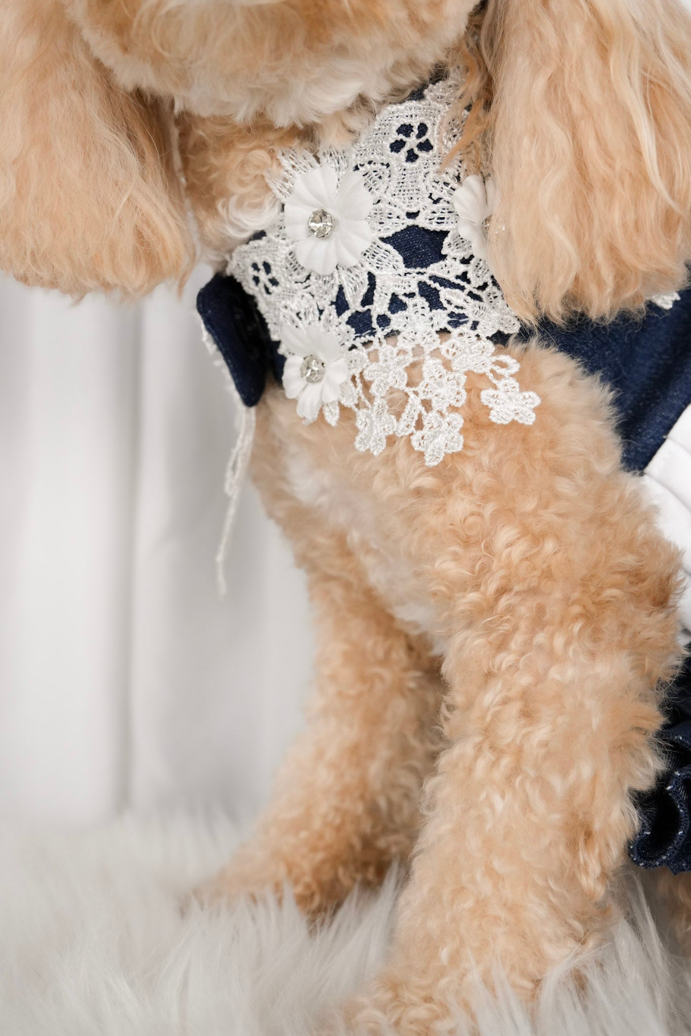 Denim floral outfit for pets