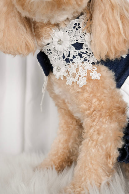 Denim floral outfit for pets