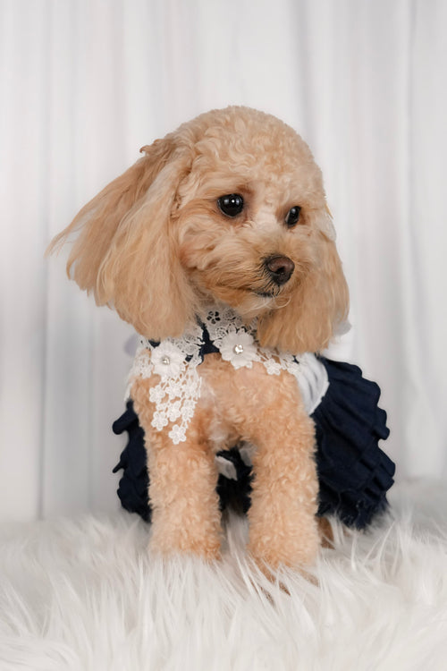 Denim dress for pets