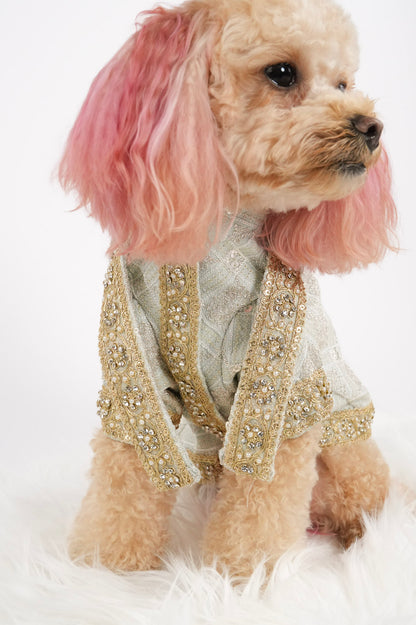 Diwali Sparkle pet outfit