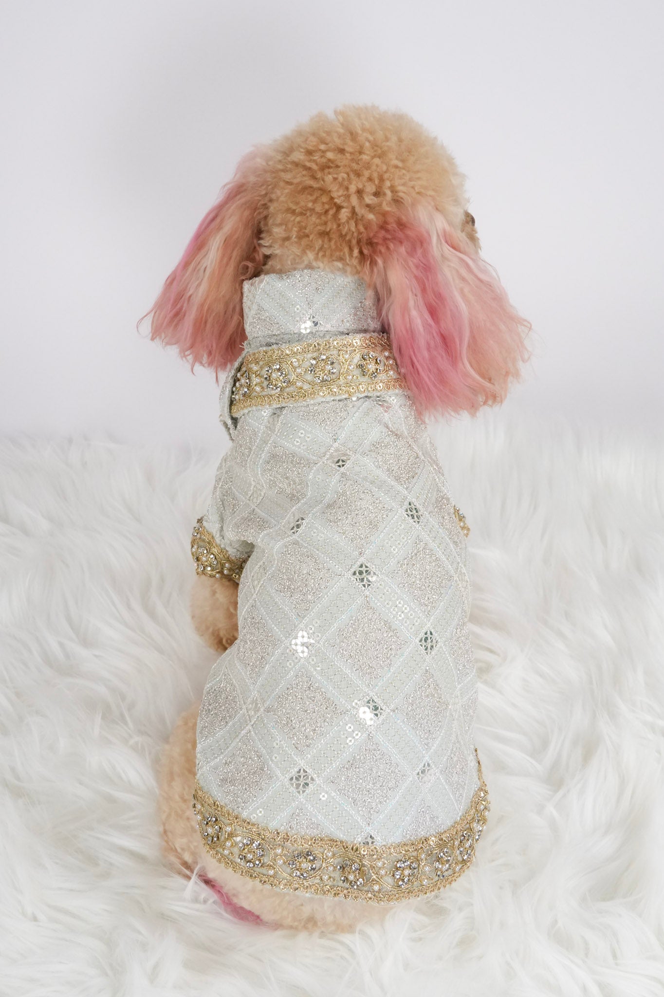 Diwali pet outfit back view