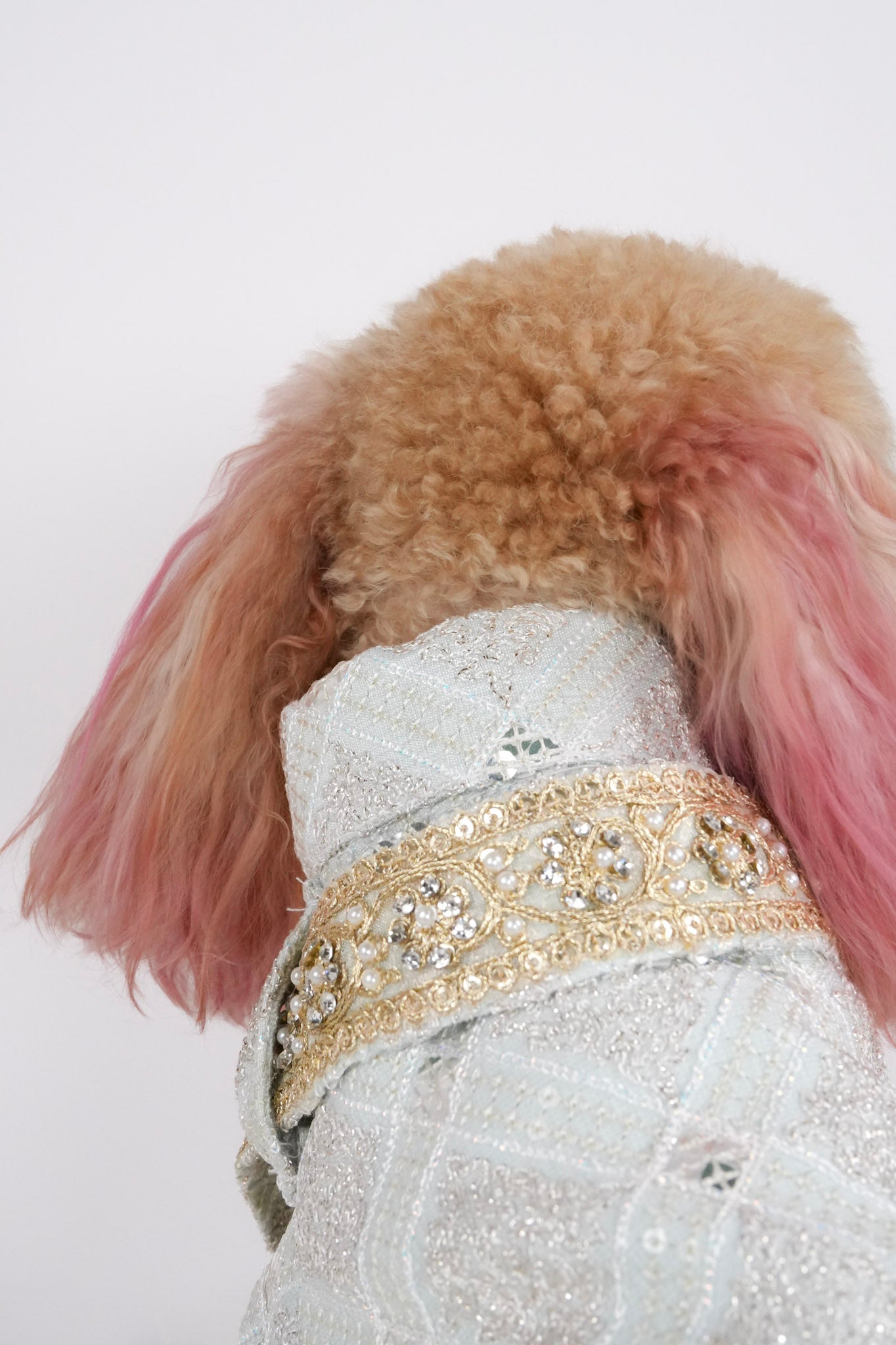 Diwali pet outfit details