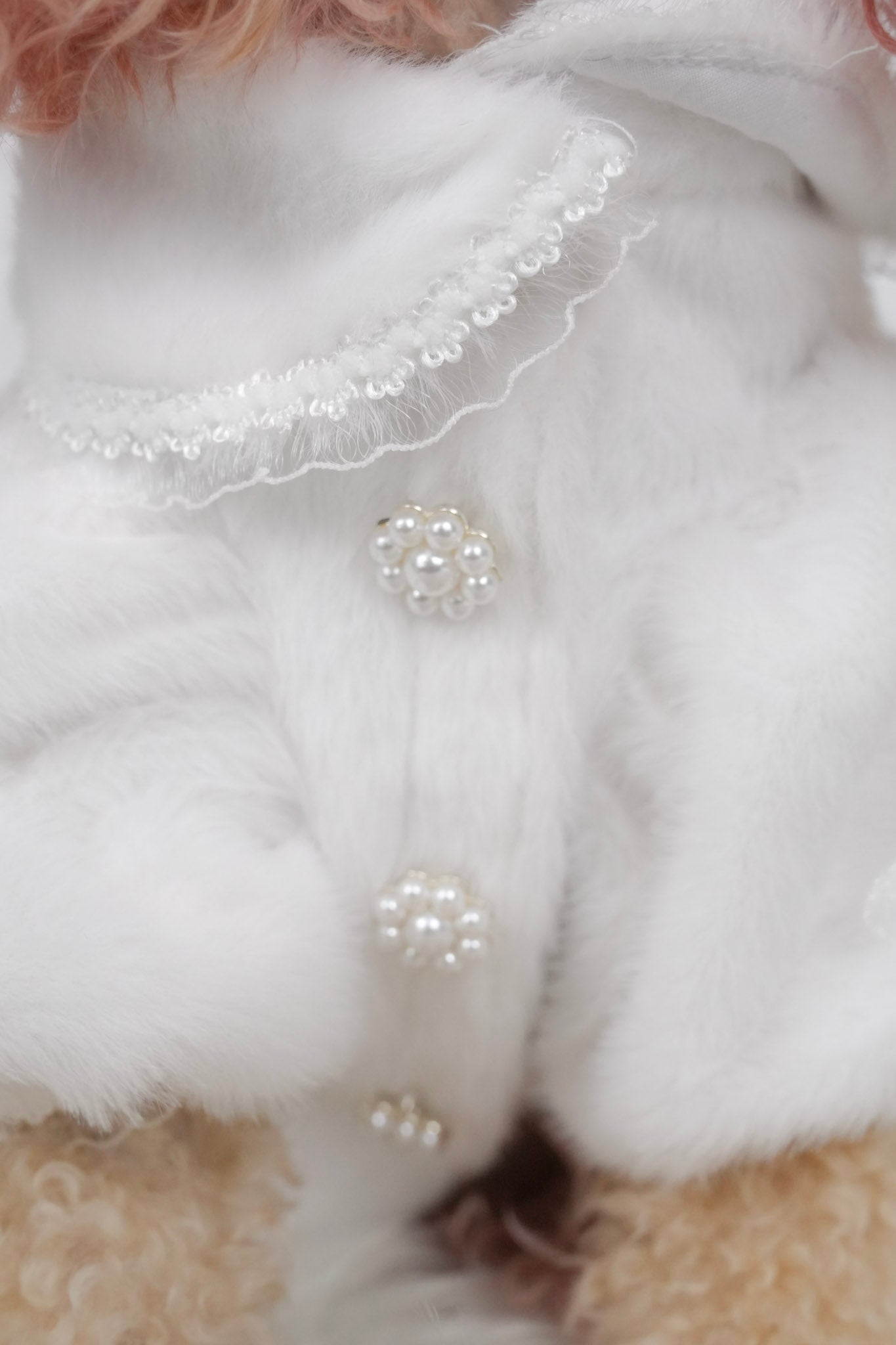 Elegant White outfit for pets