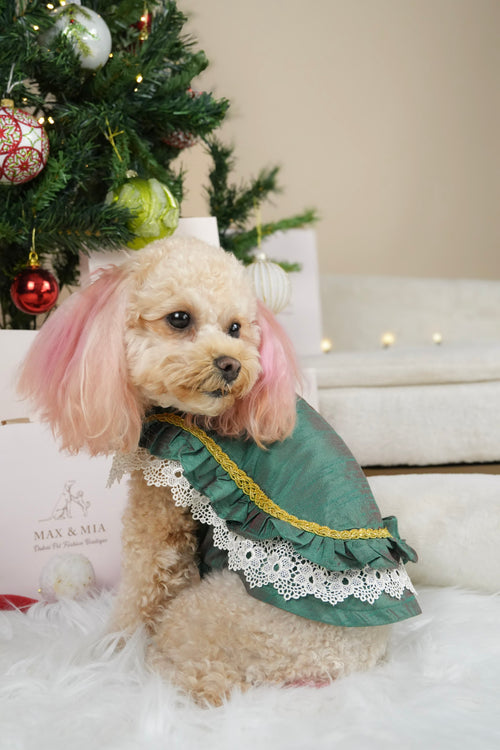 Emerald Grace dress for cats and dogs