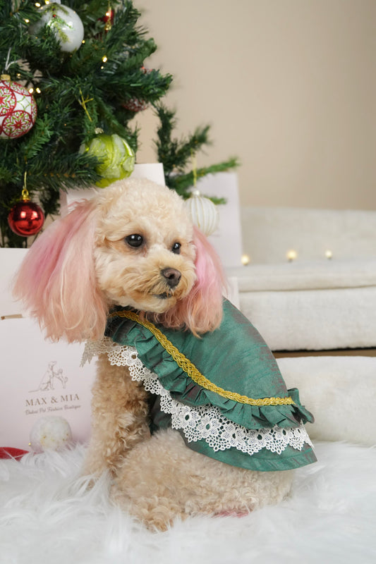 Emerald Grace dress for cats and dogs