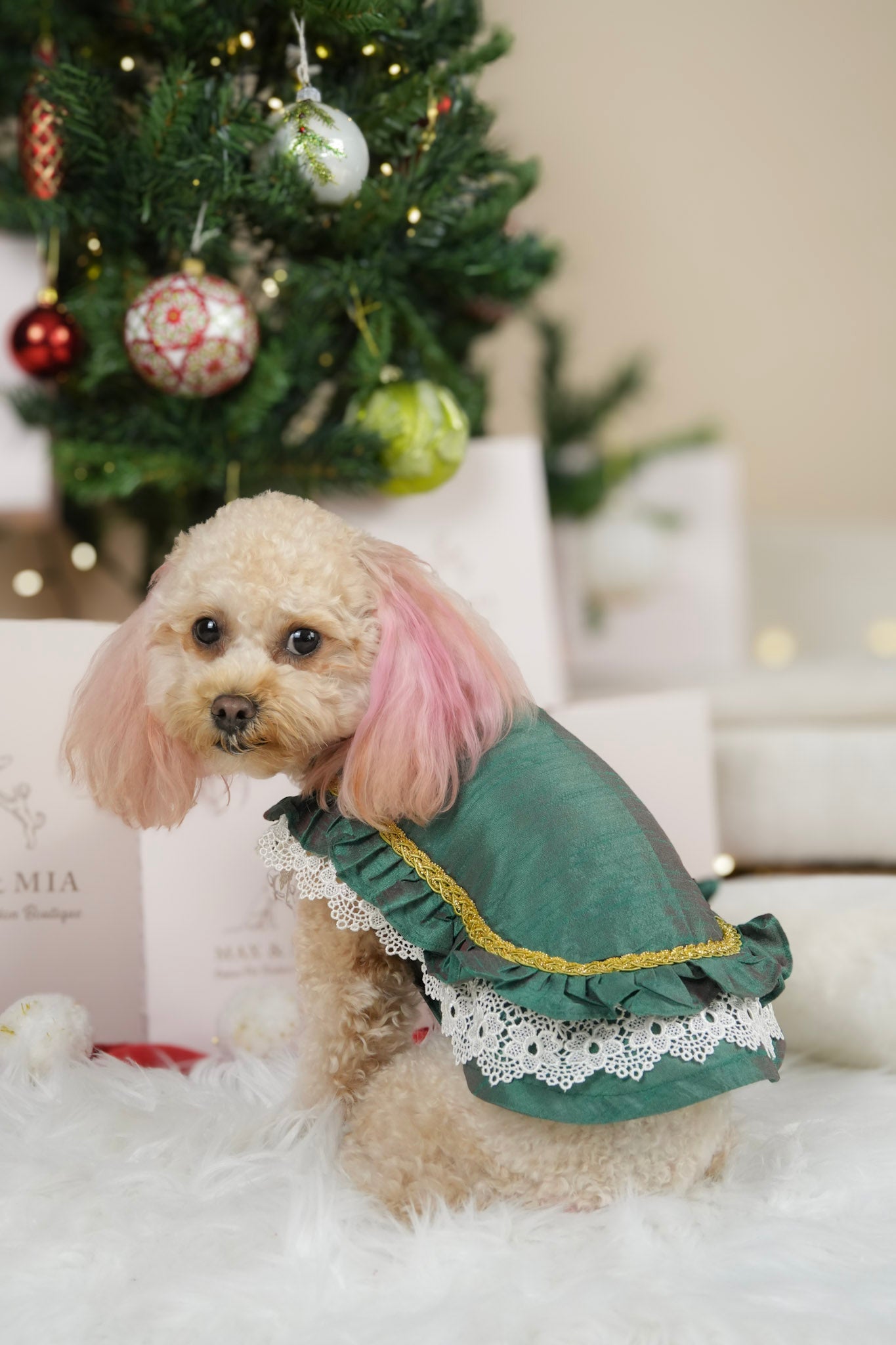 Emerald Grace dress for pets
