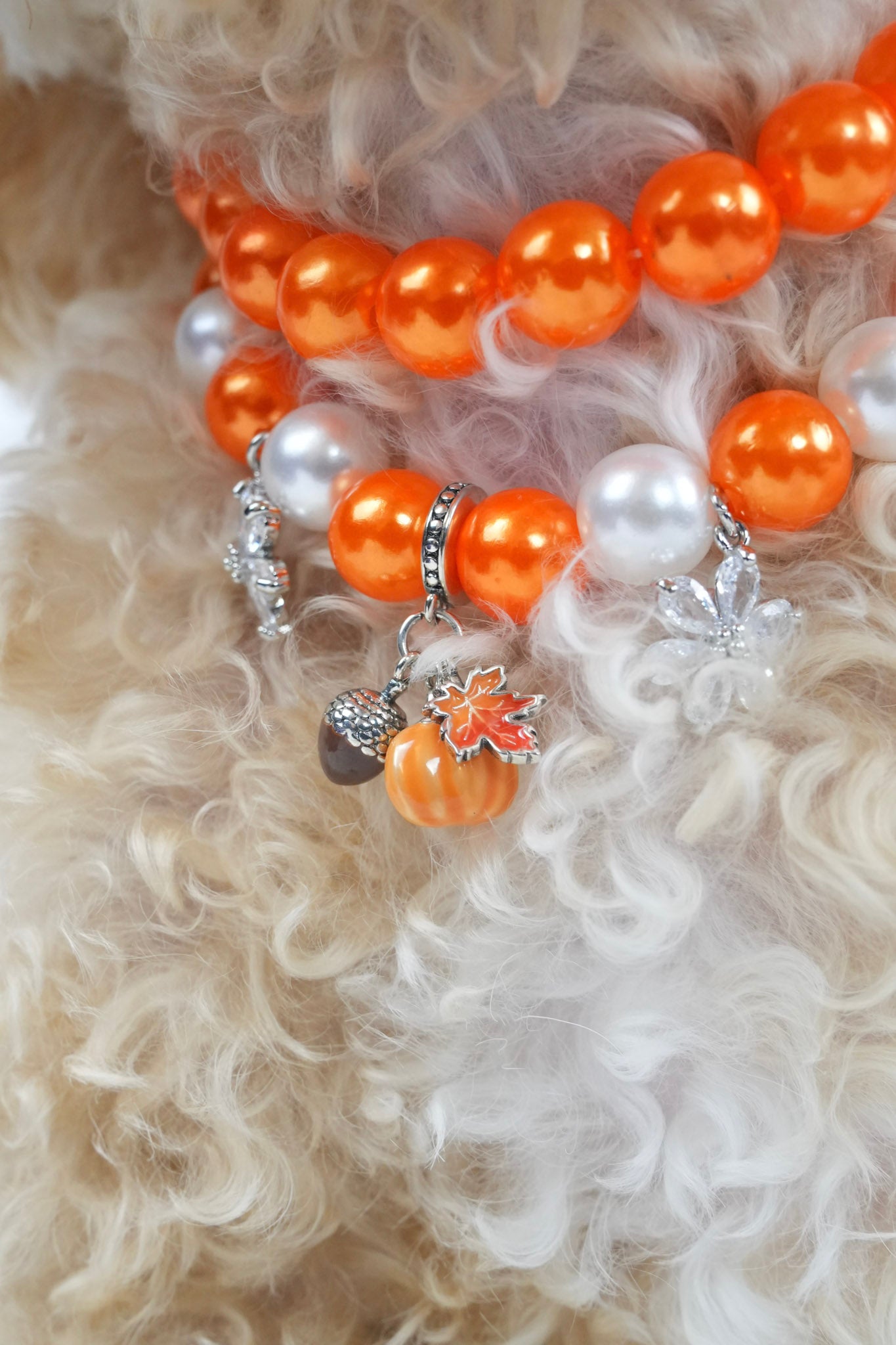 Festive necklace for cats and dogs