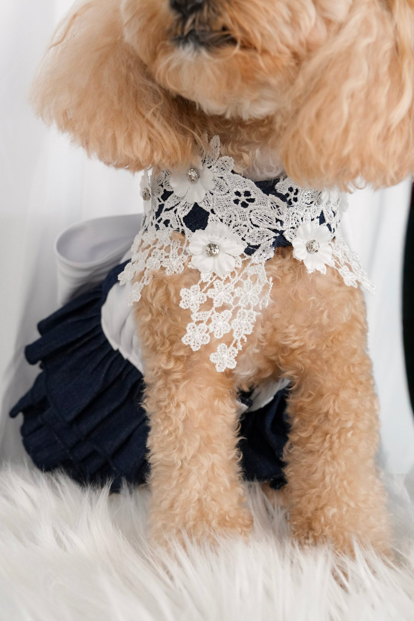 Floral denim dress for pets