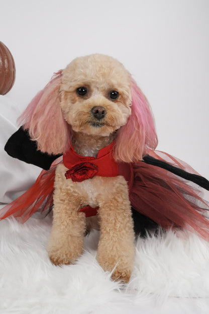 Halloween pet dress