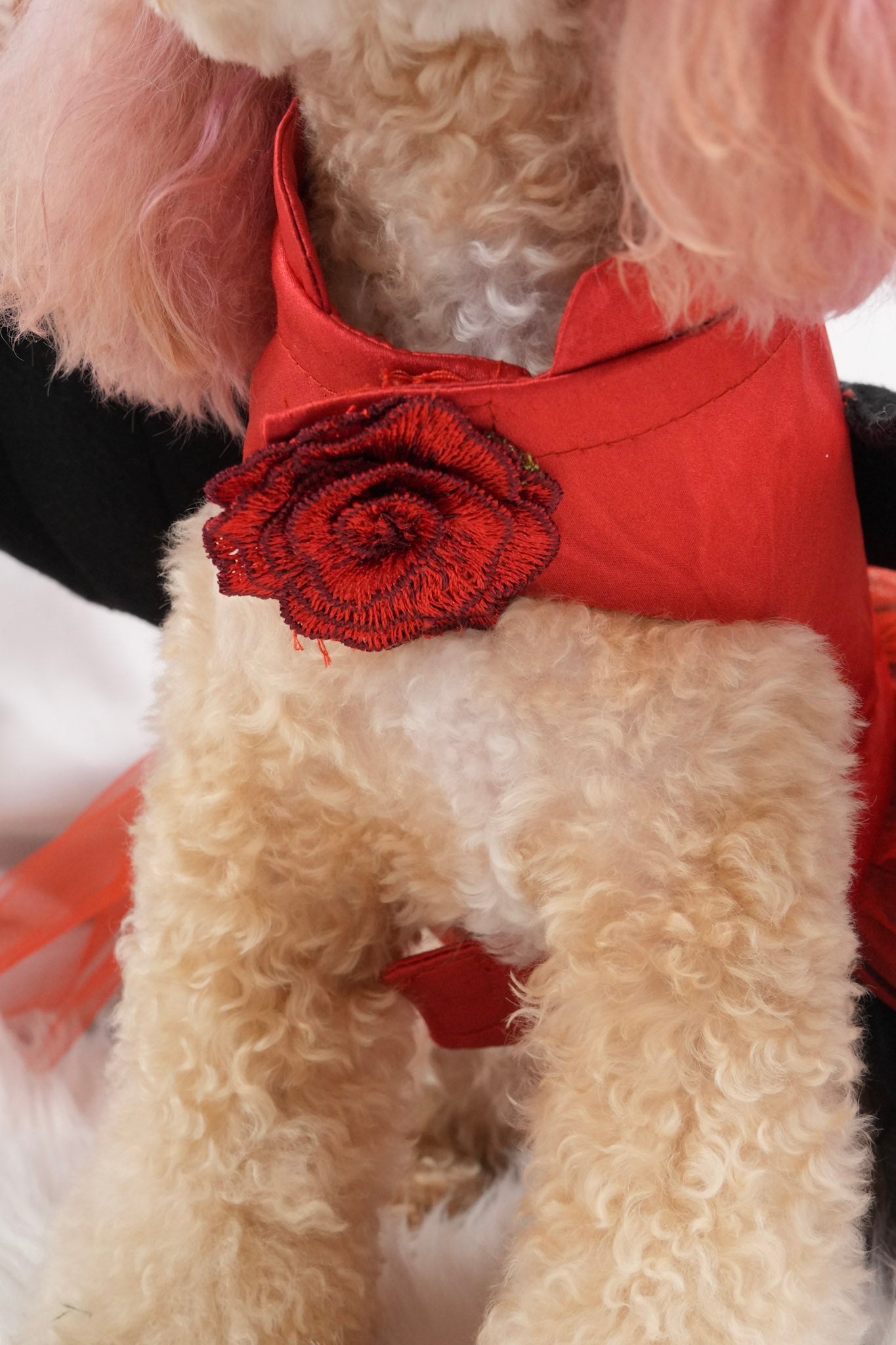 Halloween custom costume for pets