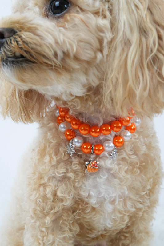 Halloween pet necklace with charms