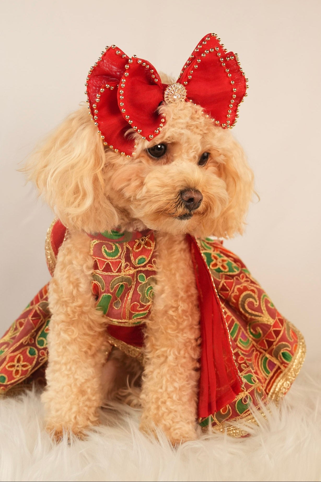 red sari style pet dress with matching bow