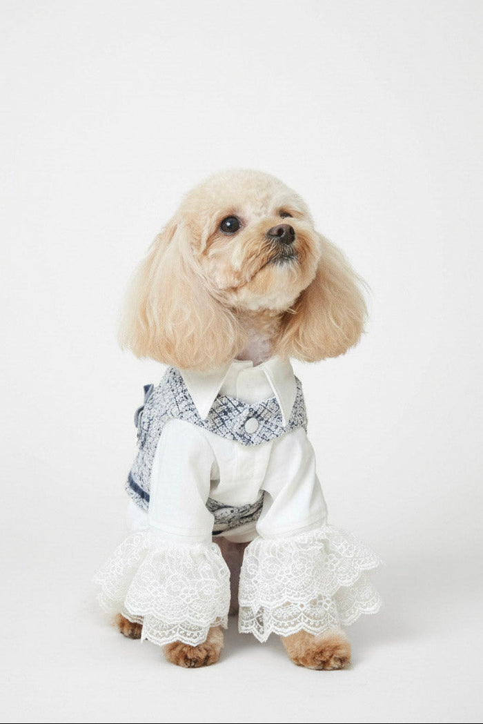 The Pawlished Look
