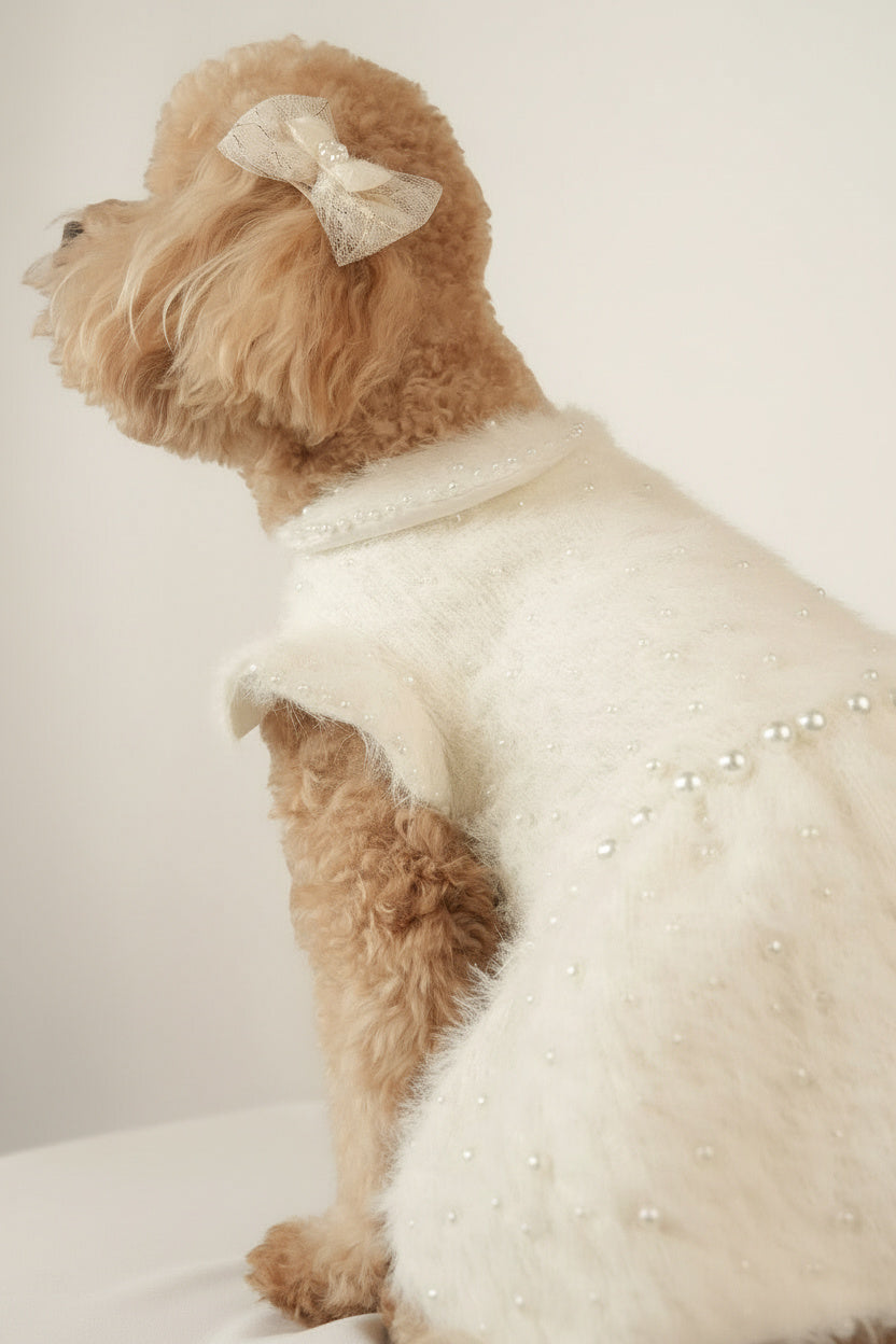 Elegant white pet dress with pearl details