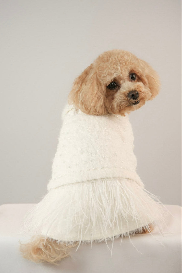 Pet coat for cosy season