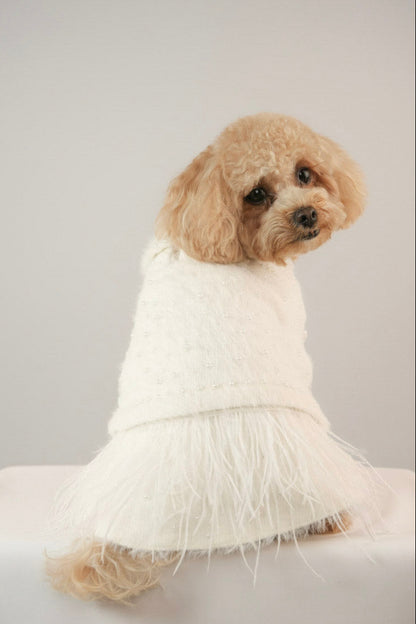 Pet coat for cosy season