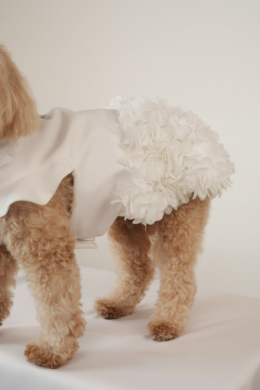 Pet dress floral details