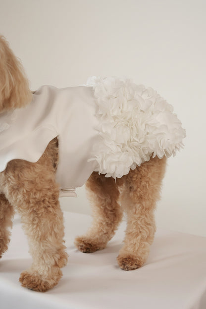 Pet dress floral details
