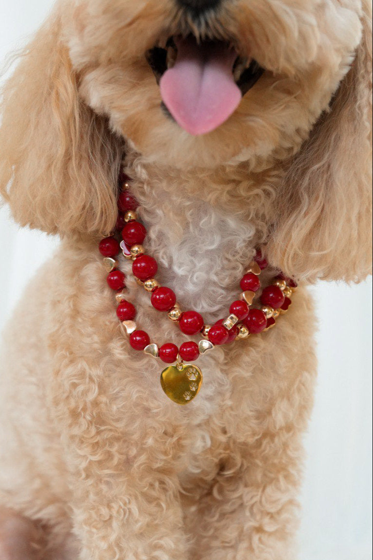 Pet necklace