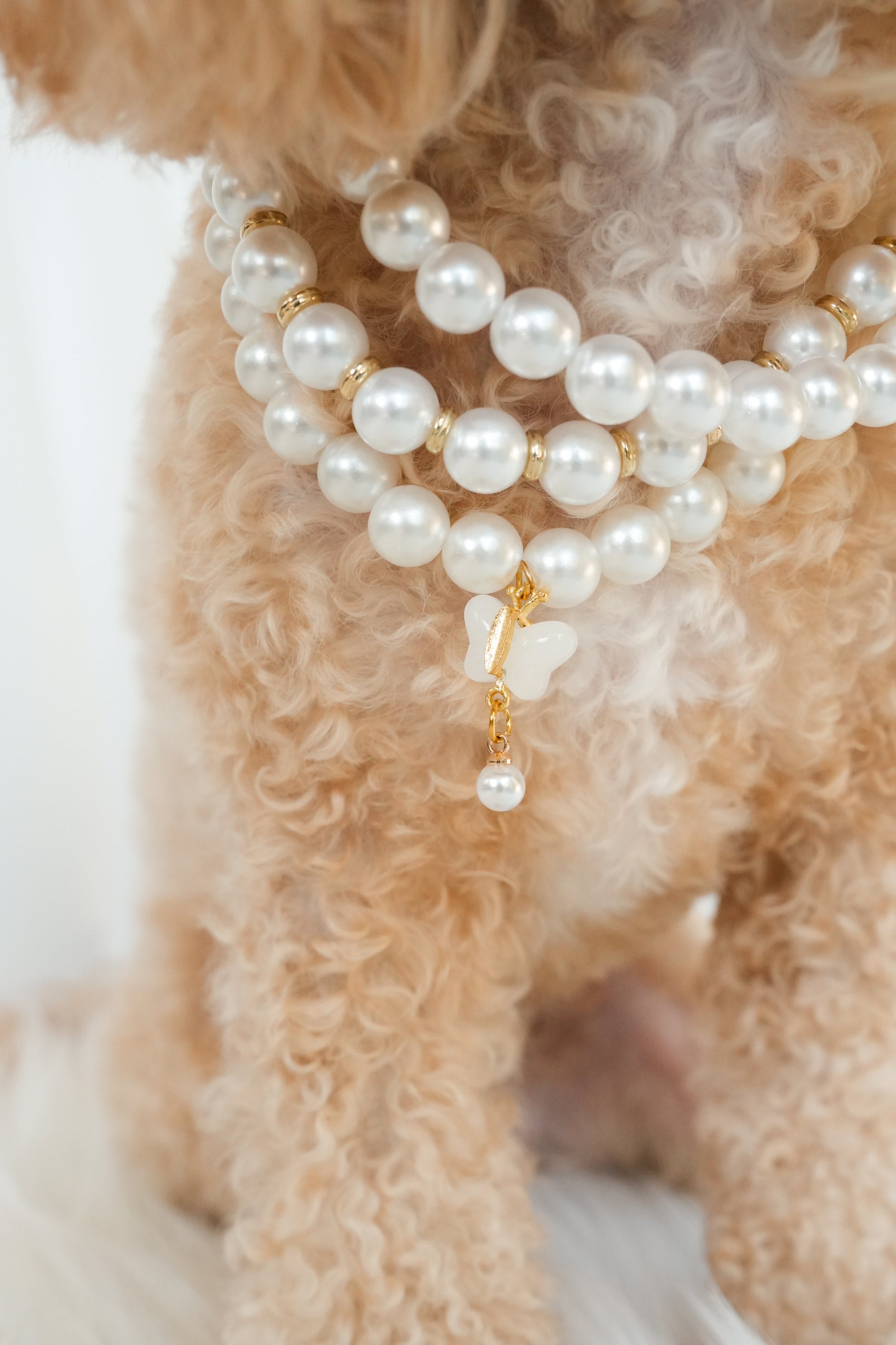 Pet pearl necklace with butterfly charm