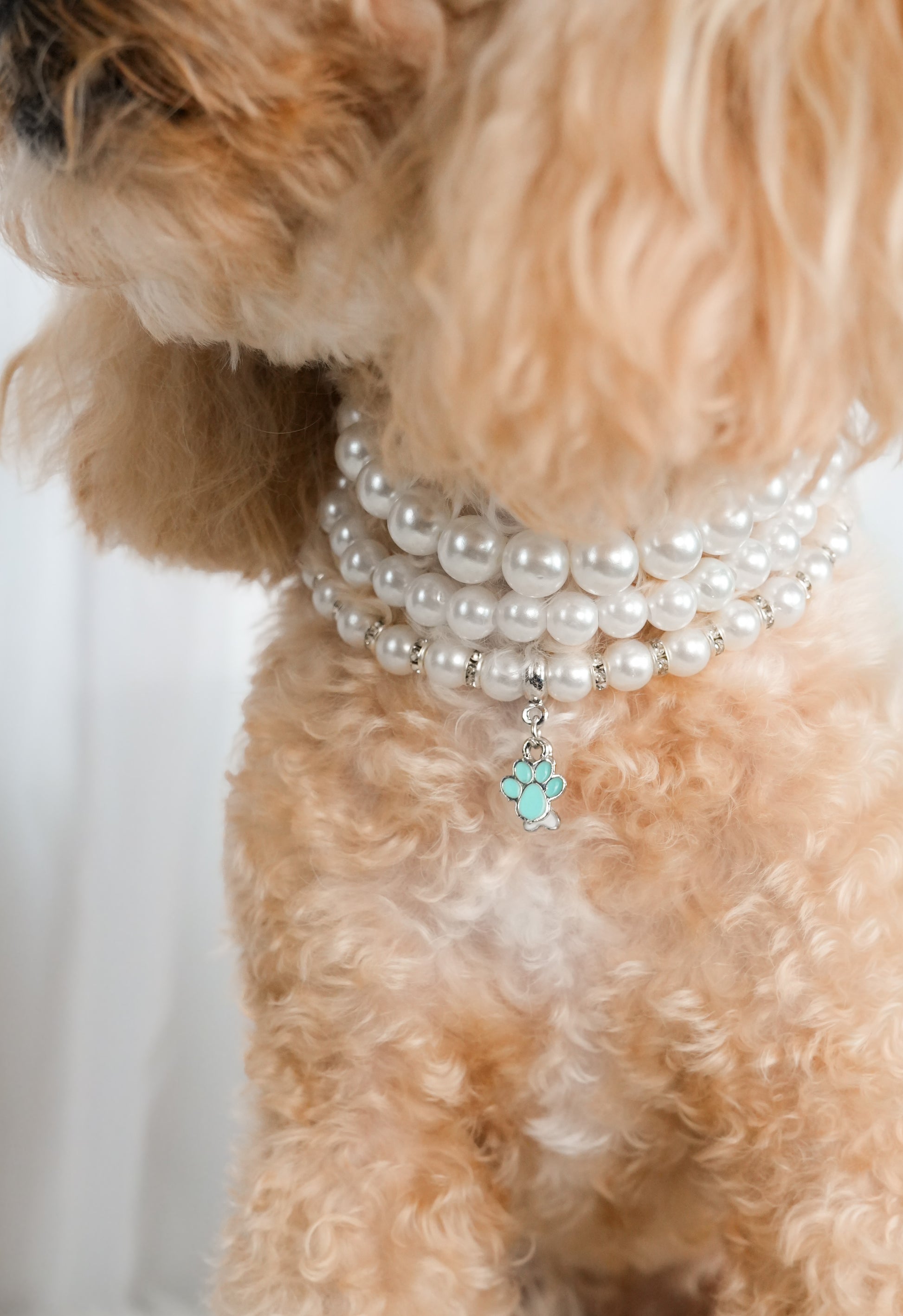 Pet pearl necklace with paw charms