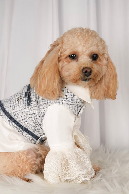 Pet vest and shirt outfit