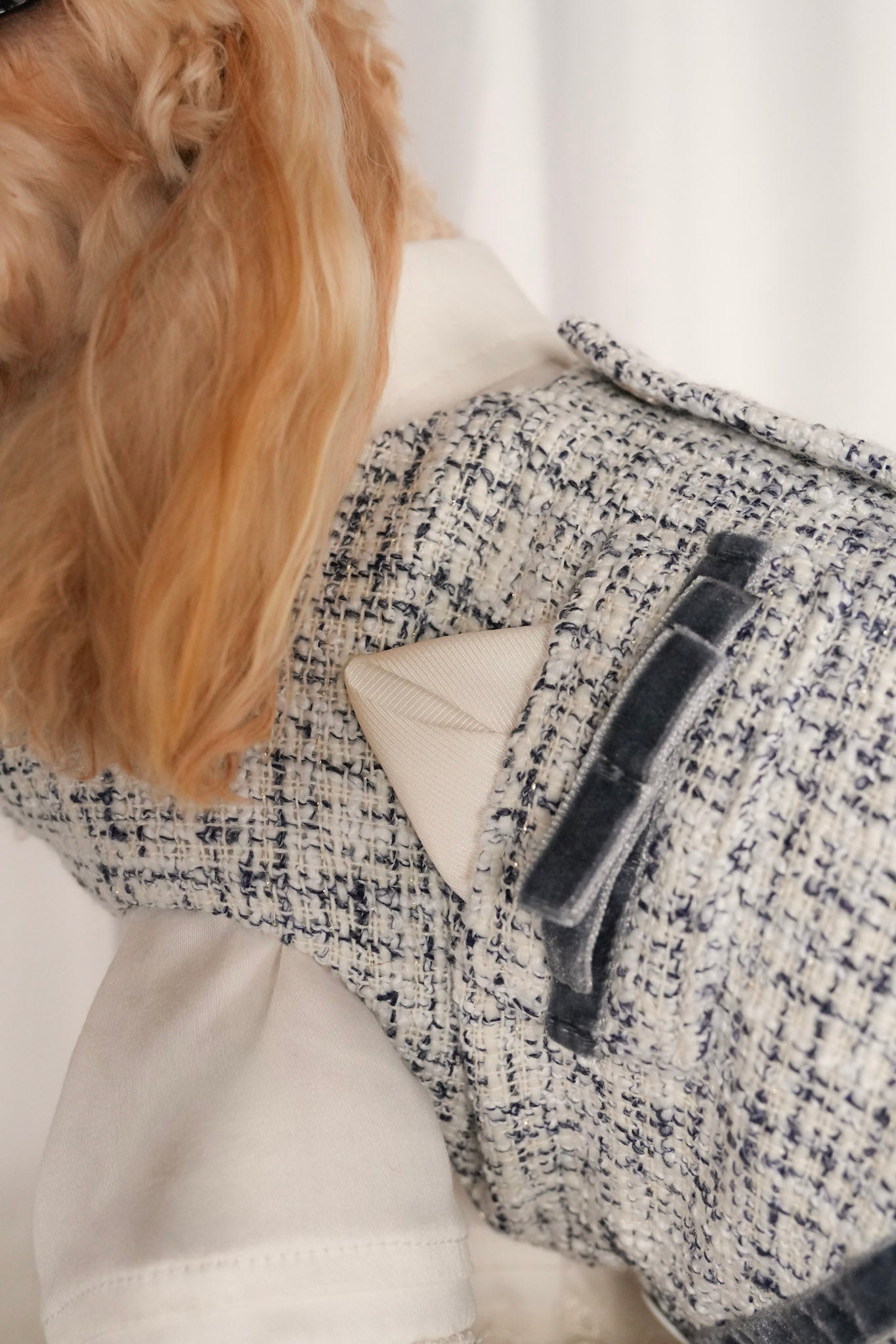 Pet vest style details