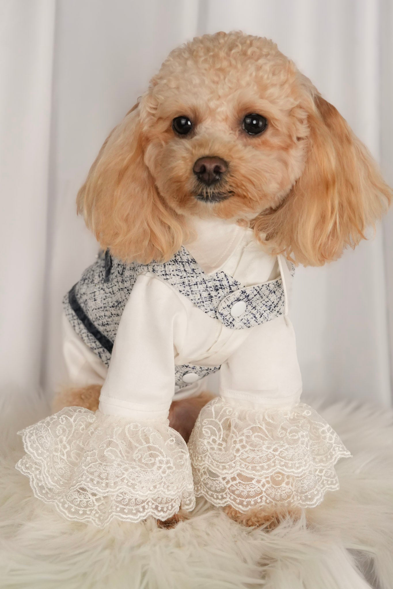 Pet vest style outfit