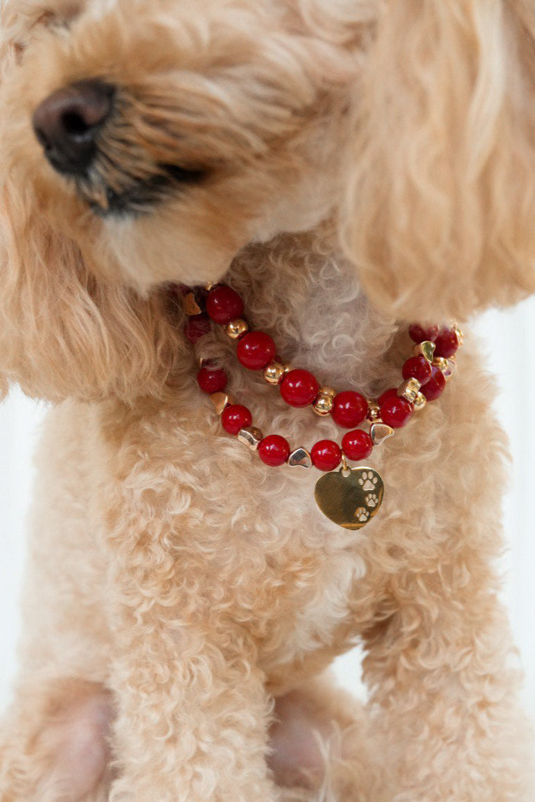 Red necklace for pets