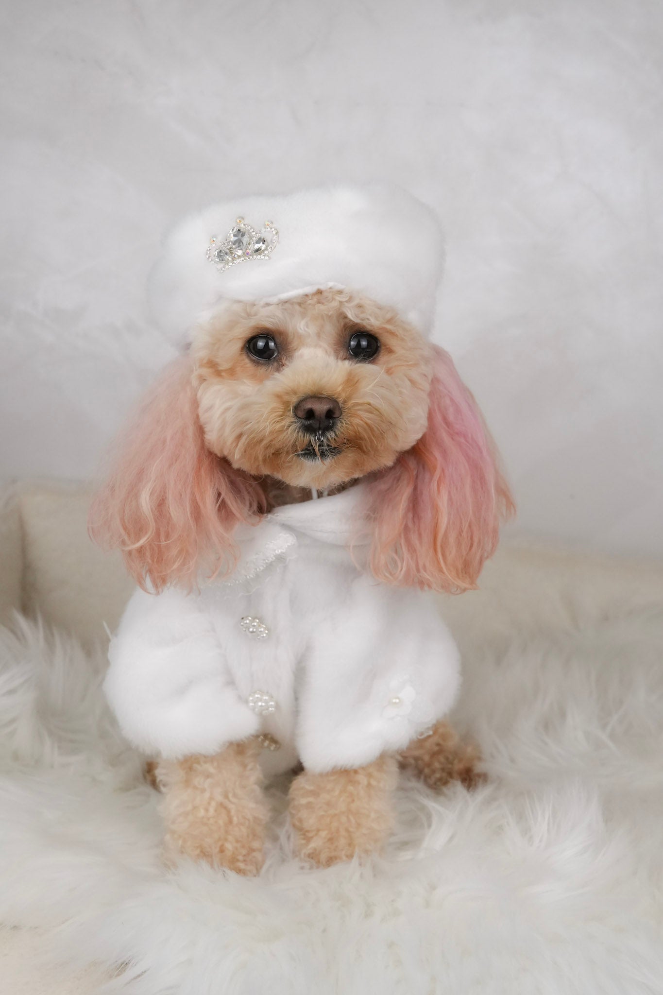 Snow Belle outfit for pets