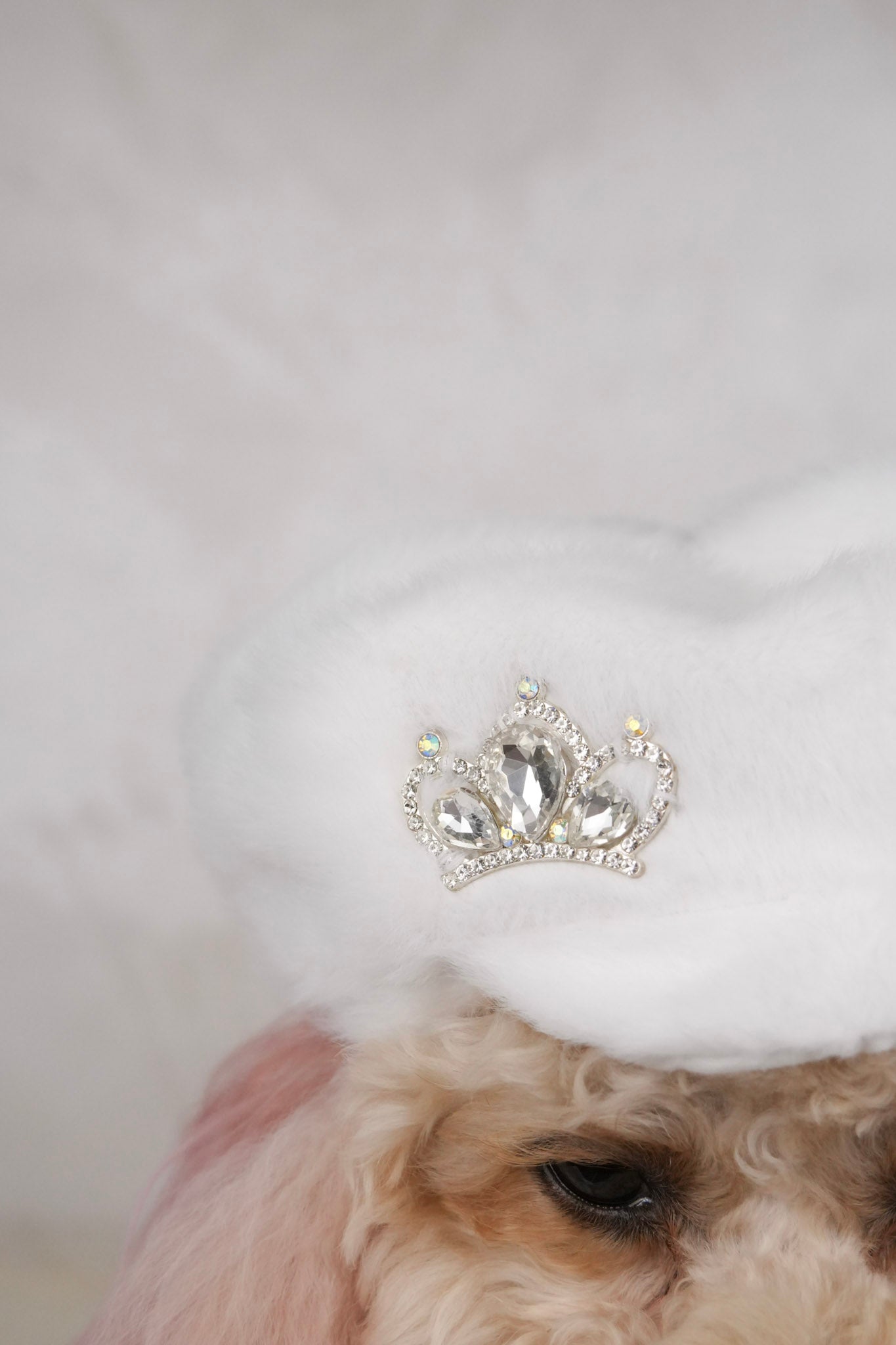 Snow Belle hat for pets